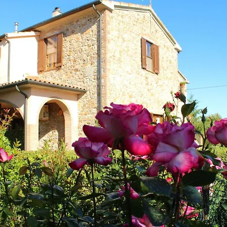 Ribocchi Apartment Campiglia Marittima