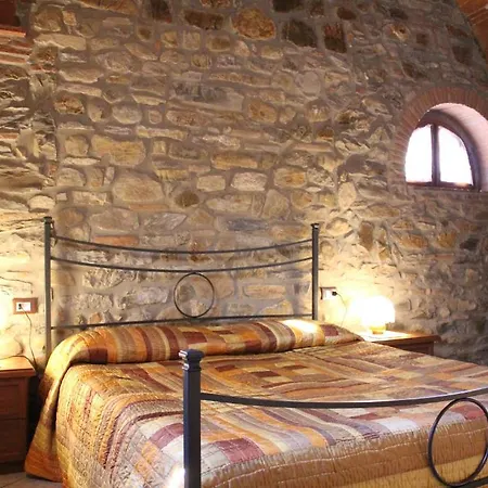 Ribocchi Campiglia Marittima