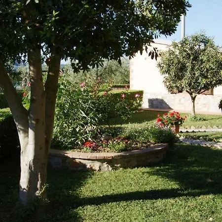 Ribocchi Apartment